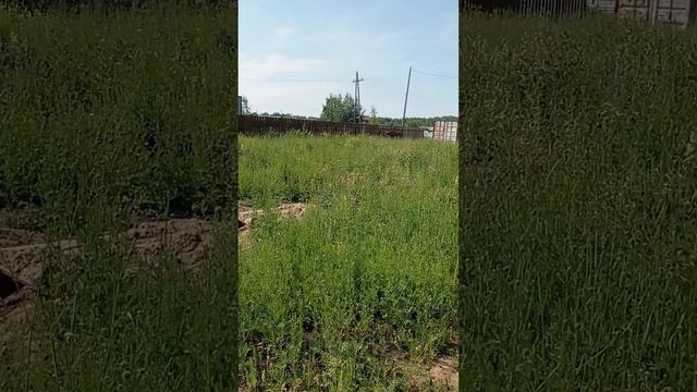 1001937915.mp4