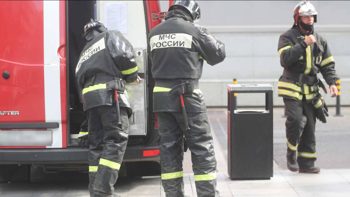 Переосмысление "Евгения Онегина" и пингвины: что посмотреть в кино