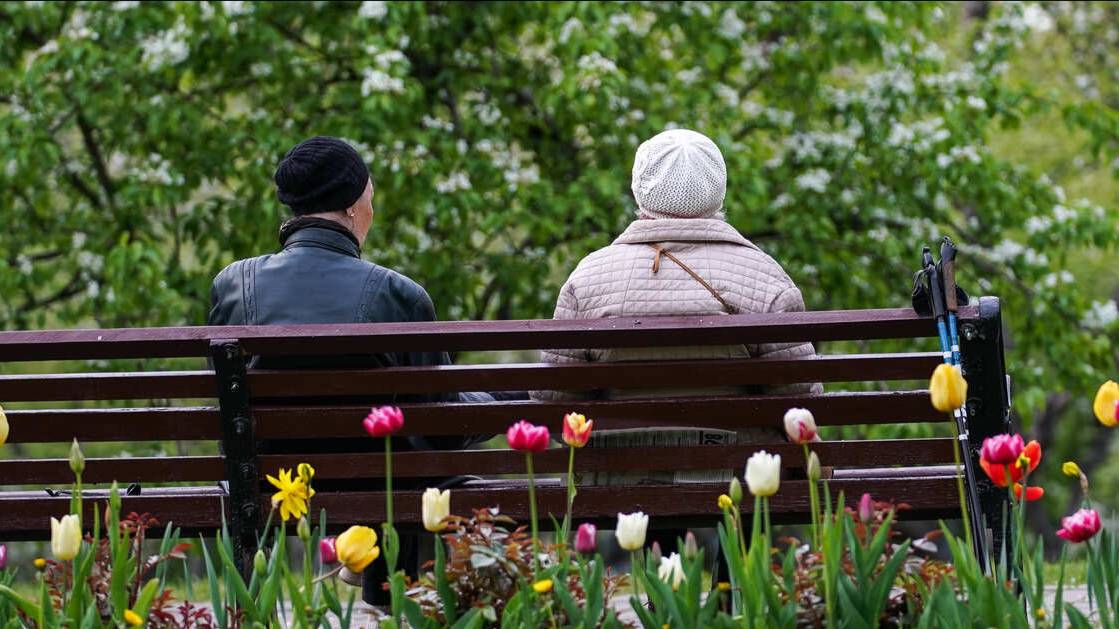 Загадки Введенского кладбища: зачем там с ведрами ищут статую