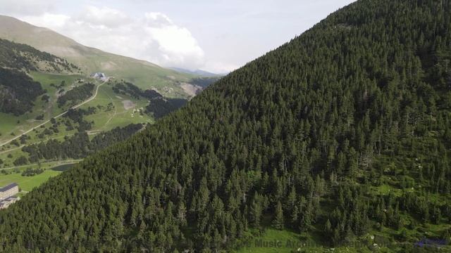 Поля расцветают при каждом аккорде этой мелодии - Entonces -- A. A. Aalto -- The West