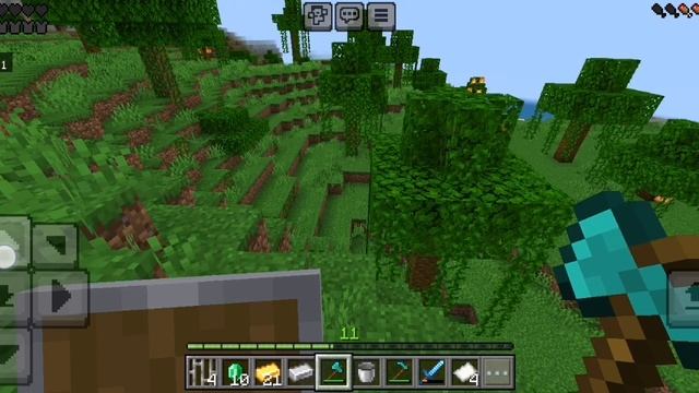 SVID_20250622_131143_2.mp4