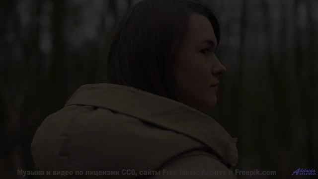 Эта песня звучит так, будто её написал сам ветер в горах! - Flying Solo -- Taylor Poe -- 10 Million