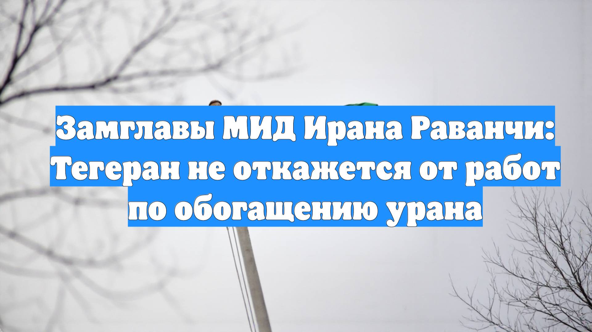 Замглавы МИД Ирана Раванчи: Тегеран не откажется от работ по обогащению урана