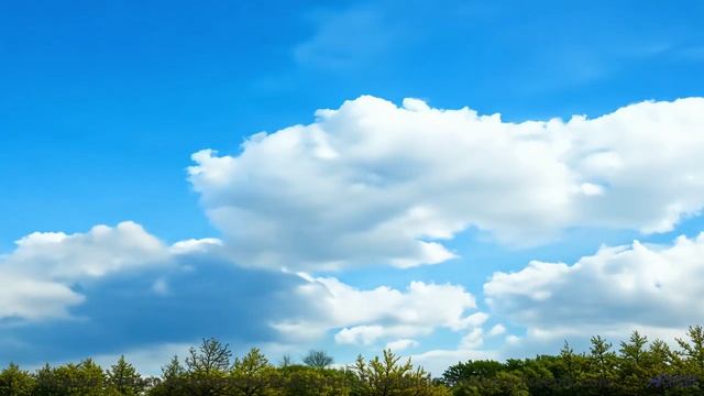 Кадры, снятые наномикроскопом - увидите невидимое! - Happy Days -- Scott Holmes Music -- Happy Backg