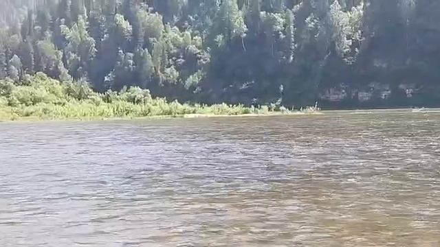 В Кузбассе чистота реки Томи – приоритетная задача! 2
