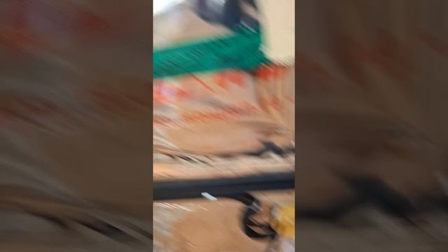 1000027126.mp4 (Собака слушает об экономии затрат на э/проводку в доме А-фрейм)