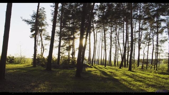 Взгляд прилипает к экрану, пока играет такая композиция - 11 Arising -- Ketsa -- Free and Beautiful