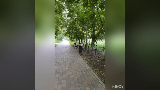 Улица Берзарина лето