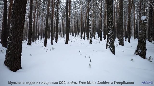 Звуки, используемые для клонирования сознания - это реально - Tussle -- Ketsa -- Mini LP
