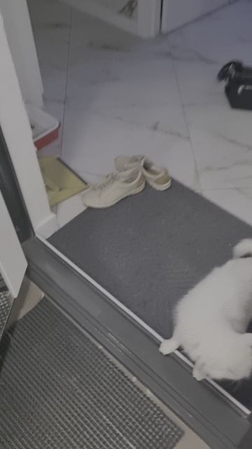 когда ты пришёл ночью домой с караоке