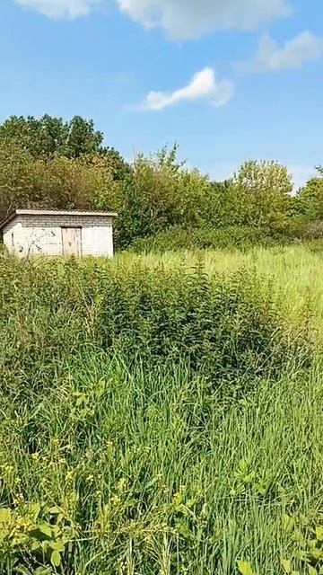 WhatsApp Video 2025-06-20 at 14.08.45 (1)