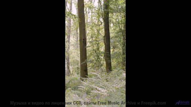 Пейзажи разрывают шаблоны под такой мелодией - Die weisse Taube (ID 128) -- Lobo Loco -- Moments