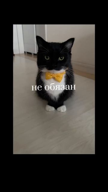 1000020392.mp4