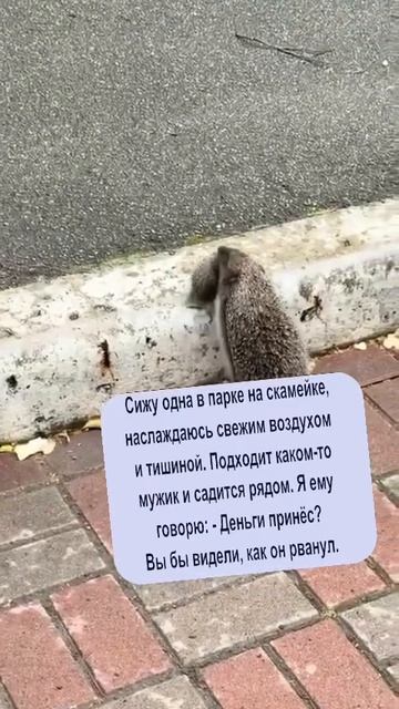 он сбежал 🤣🤣🤣