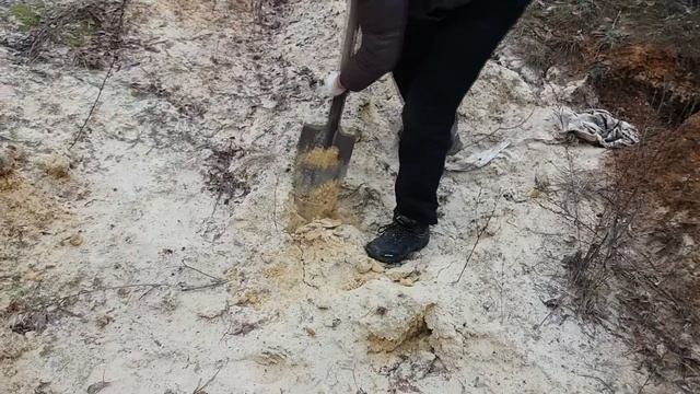 СОКРОВИЩА до Добра не ДОВЕДУТ