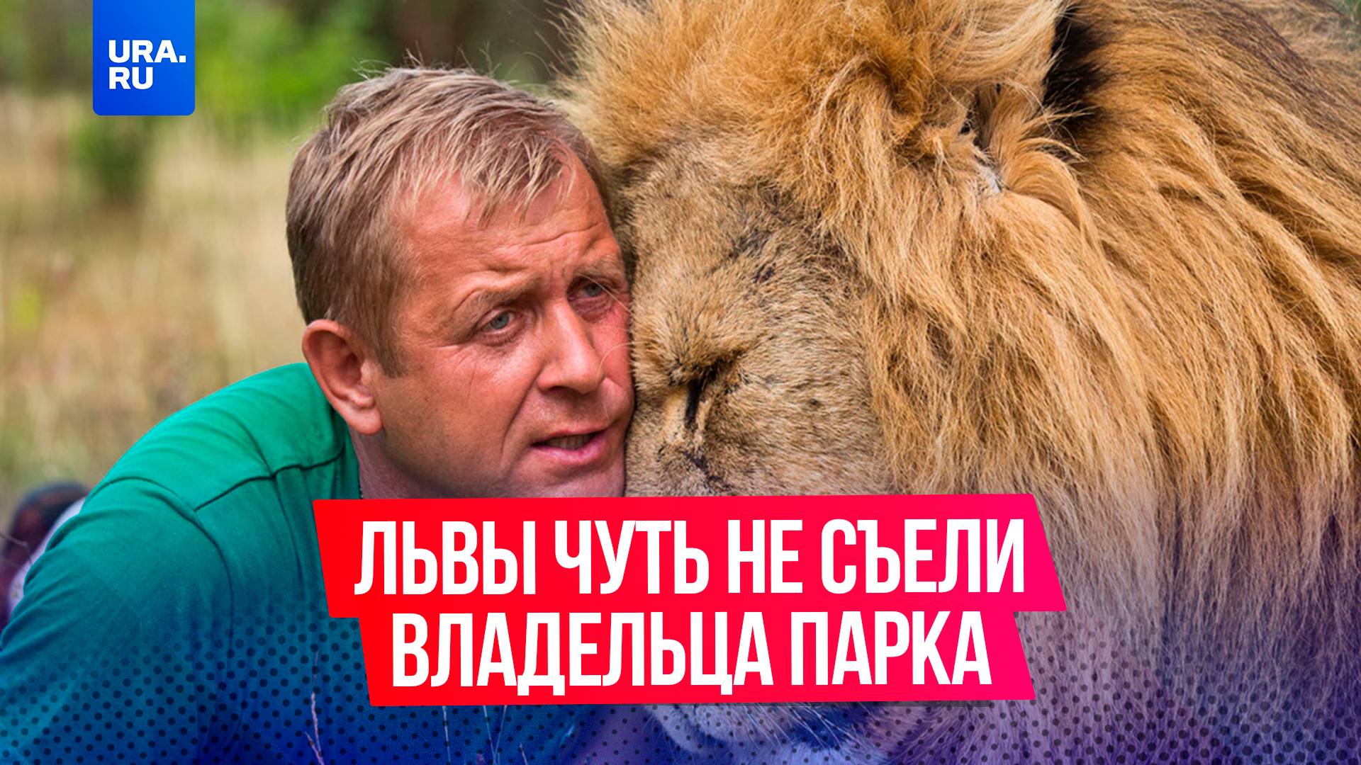 Лев набросился на директора крымского парка «Тайган» во время кормежки