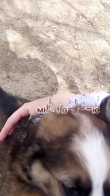 1000081569.mp4