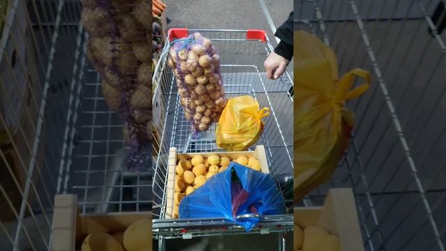 Закупка на Фудсити с обзором цен