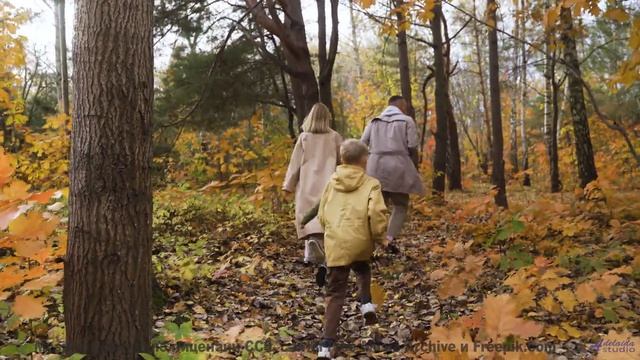 Музыка запускает путешествие вглубь себя - Easily -- Small Tall Order -- Easily