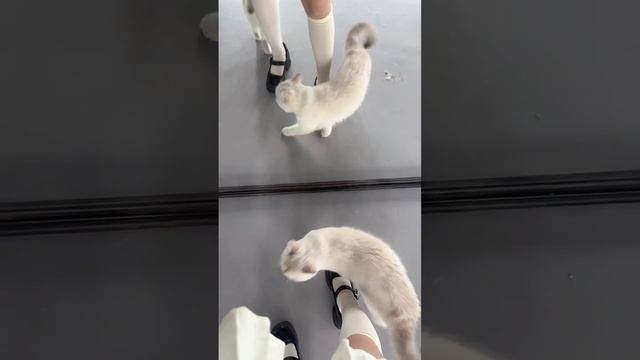元宝owo🐼_下一场9_40_20250623_061004