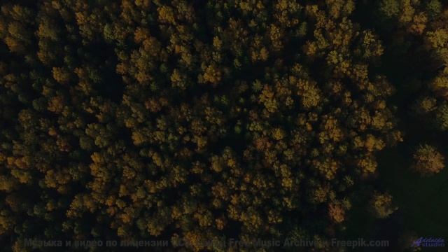 Ты не сможешь забыть его, даже если захочешь! - There Will Come A Time -- HoliznaCC0 -- Orphaned Med