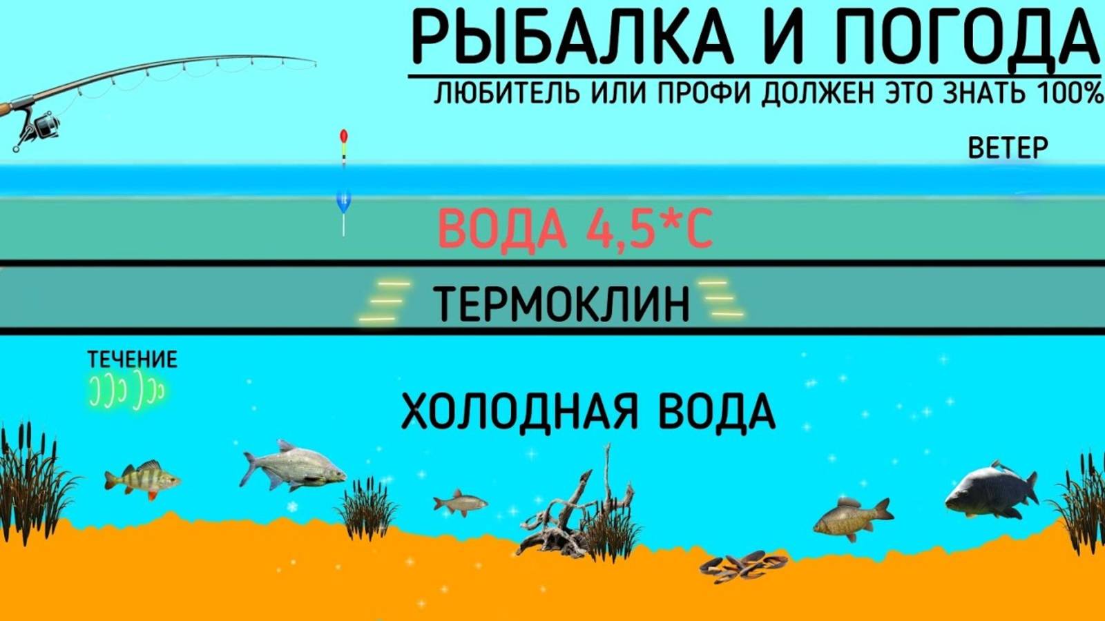 НЕ ХОДИ НА РЫБАЛКУ ЕСЛИ НЕ ЗНАЕШЬ ЭТО! Погода и рыбалка, Ветер, Давление, Температура! Школа рыбалки