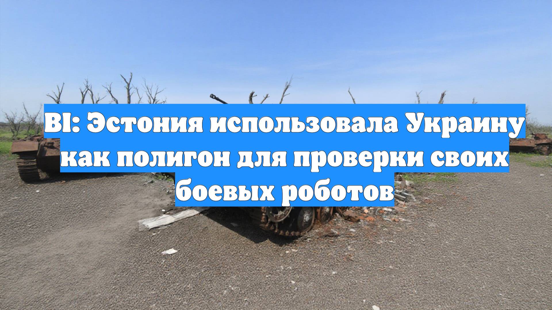 BI: Эстония использовала Украину как полигон для проверки своих боевых роботов