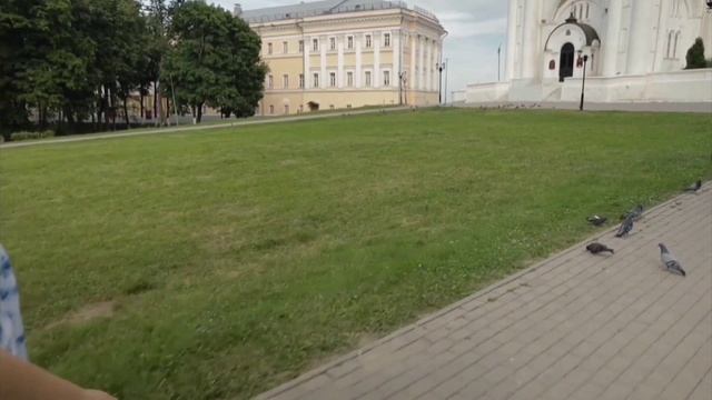 История об эпилепсии Строиловой Анастасии