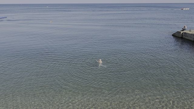 Алушта. 23 июня 2025г. Пляж Крымские зори