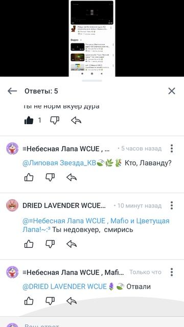 Посмотрите что Лаванда написала!
