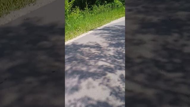 Город Павлова Старое Щербинино 4 часть