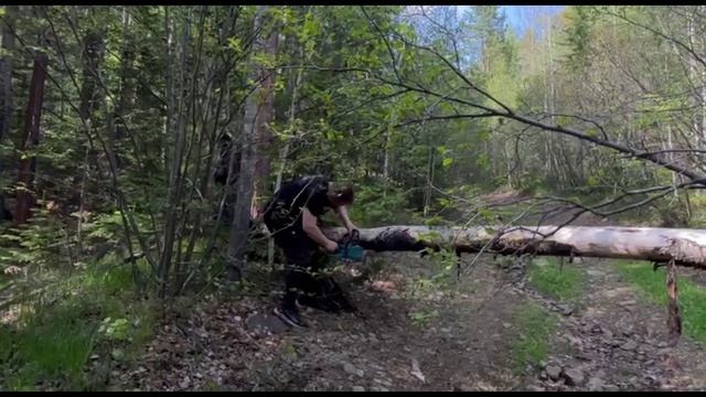 OFFROAD: Щучье озеро - поиск Чайного пути