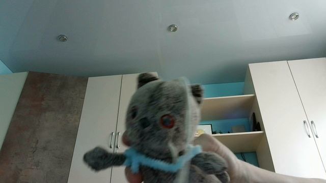 КОТИК БУСИУ ТАНЦУЕТ ВМЕСТЕ С СОНЕЙ ПОД ПЕСНЮ АЙДАХАР