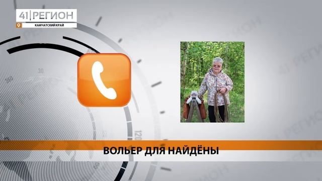 ВОЛЬЕР ДЛЯ БРОШЕННОГО МАМОЙ ЛОСЁНКА ПОСТРОИЛИ В КАМЧАТСКОМ СЕЛЕ• НОВОСТИ КАМЧАТКИ