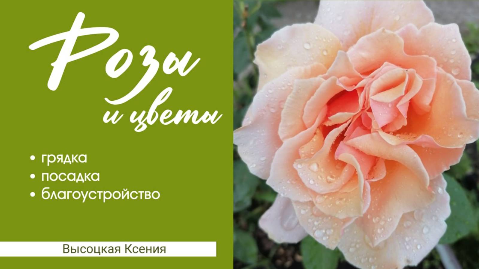 Цветник под окном многоэтажки: создание уютного уголка.