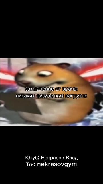 😂😂😂🚨ПОДПИШИСЬ - КАЧАЙСЯ СО МНОЙ!🚨#gym #gymtok #humor #trendingvideo #зал #пауэрлифтинг