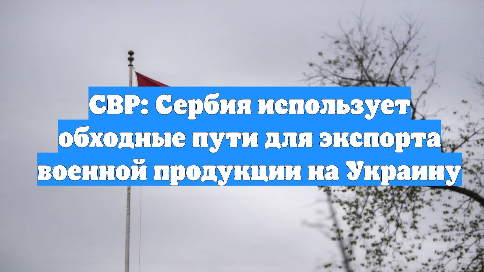 СВР: Сербия использует обходные пути для экспорта военной продукции на Украину