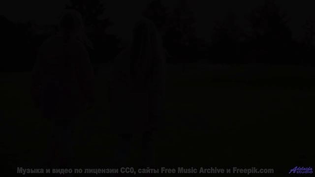 Каждый аккорд отзывается эхом в сердце зрителя - outline -- Vincent Augustus -- Outline