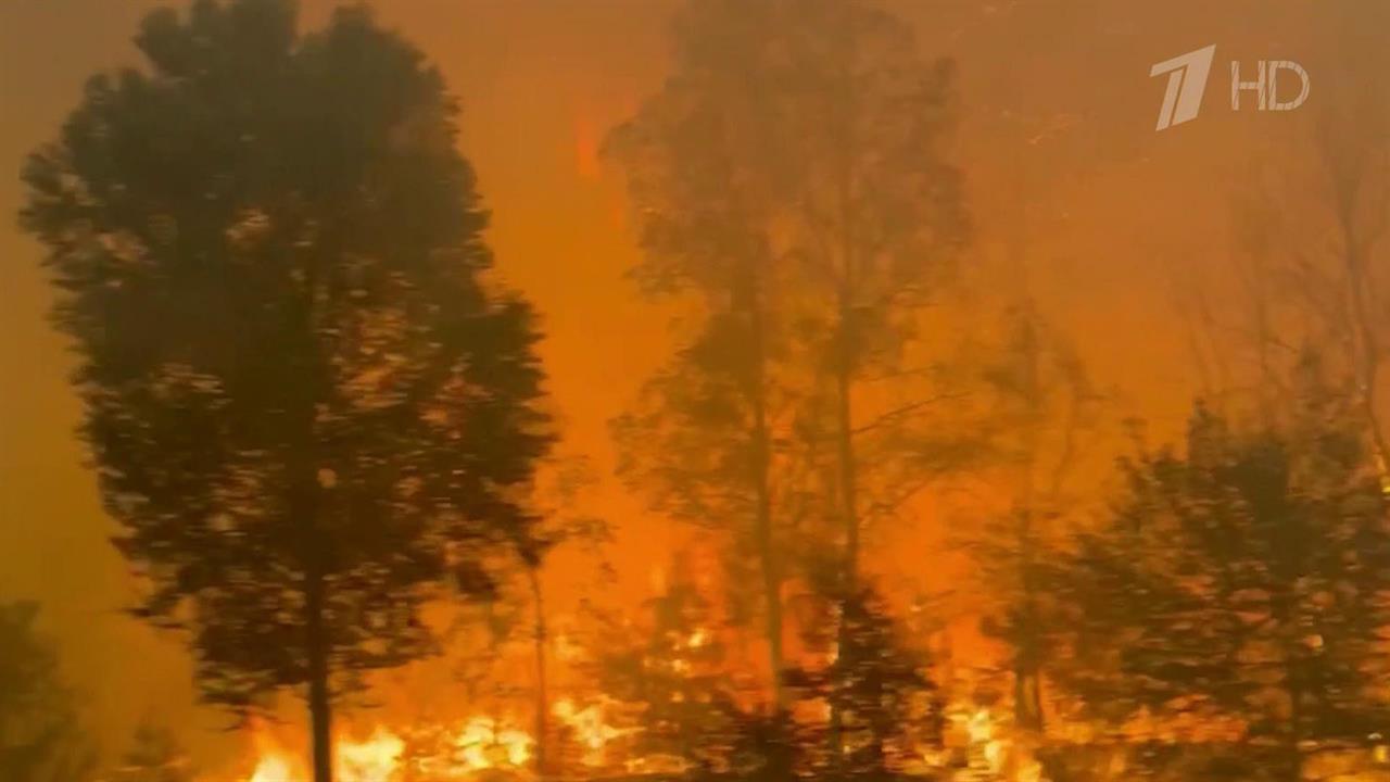 В Забайкальском крае горят почти 220 тысяч гектаров леса