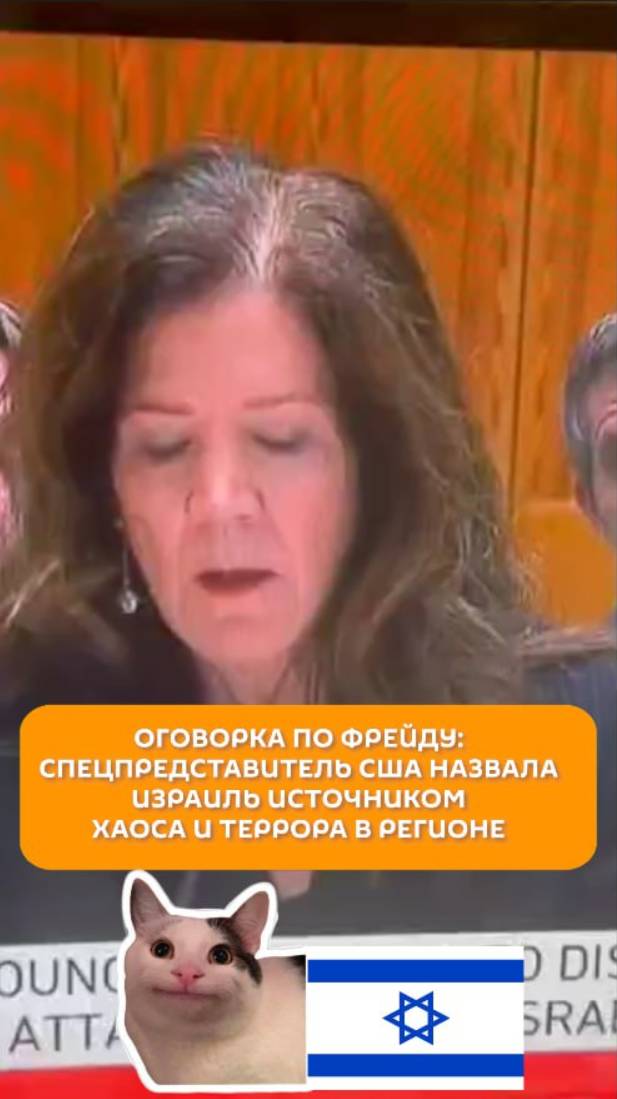 Оговорка по Фрейду: Спецпредставитель США назвала Израиль источником хаоса и террора в регионе