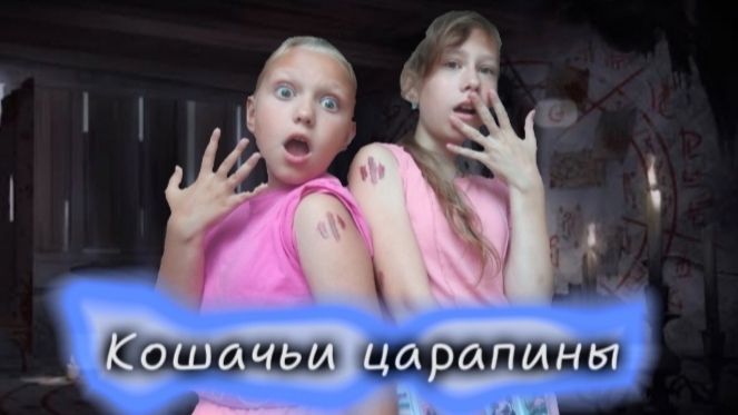 # Кошачьи царапины 😺 #