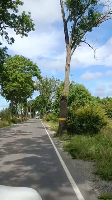 VID_20250623_101053_055.mp4