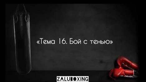 Тема 16. Бой с тенью