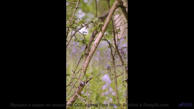 Музыка, которая звучит как обещание 'мы вернёмся сюда ещё раз' - Leave Reminders -- Derek Clegg -- R