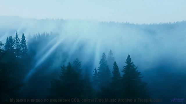 Поля и саунд рождают эмоции без границ - Howl, Party Man Isaiah! -- A Tape Full of Mistakes -- Dusts