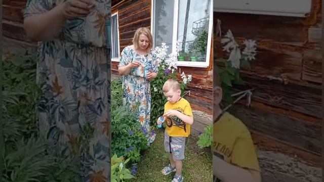 Вертиковы мастер-класс