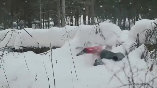 Только действия могут что-то изменить!