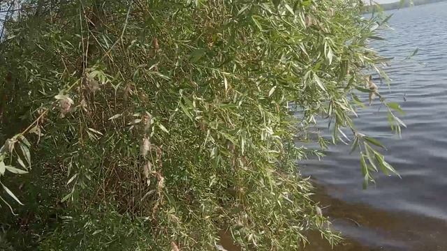 Водохранилище