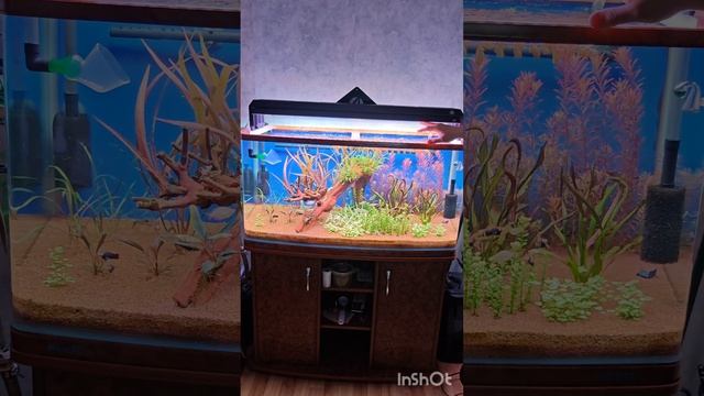 Week aqua светильник Серия P. Светильник для аквариума