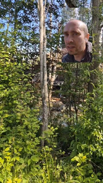 Дом на Победы 156 сгорел совсем недавно, прокуратура Архангельска не работает